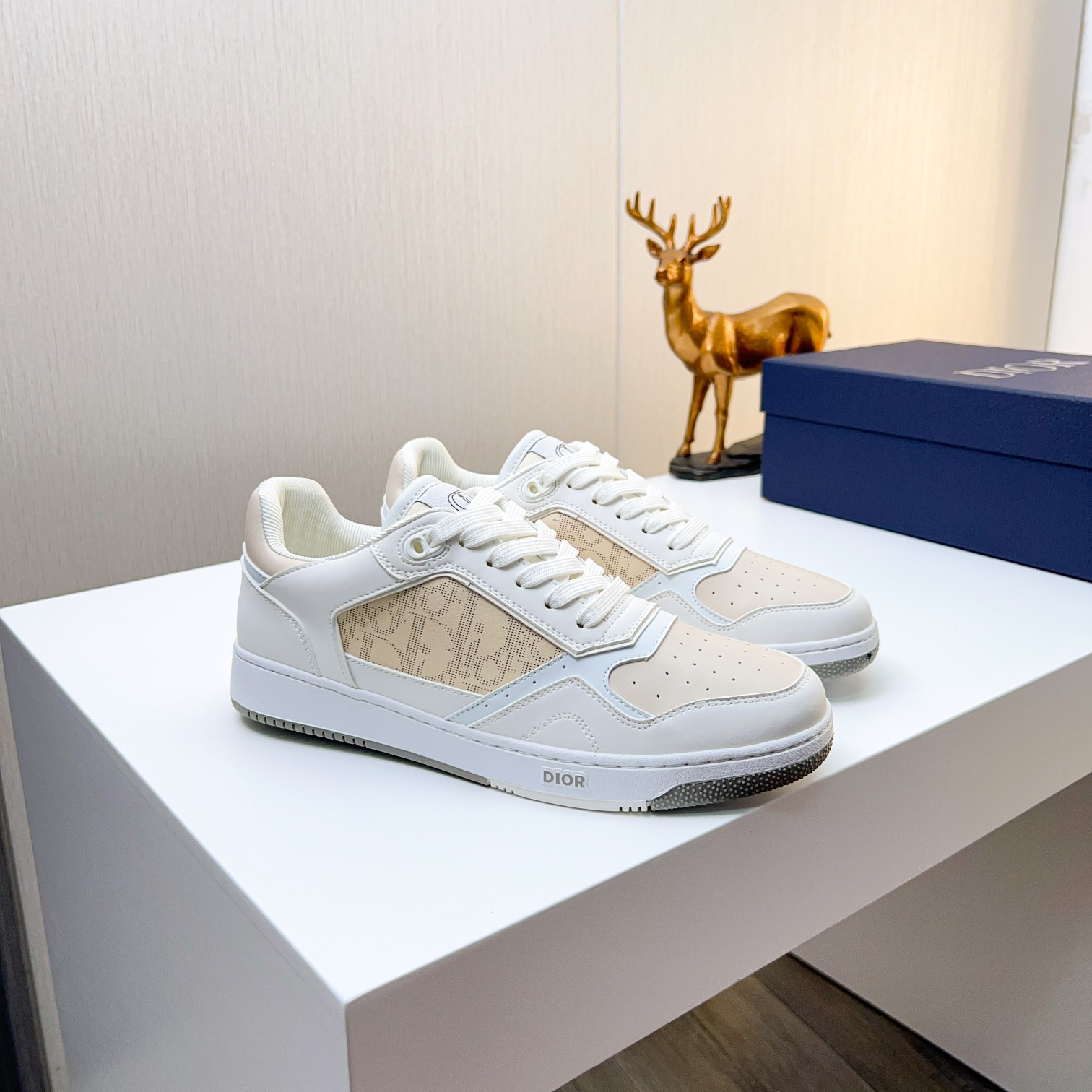 Dior shoe