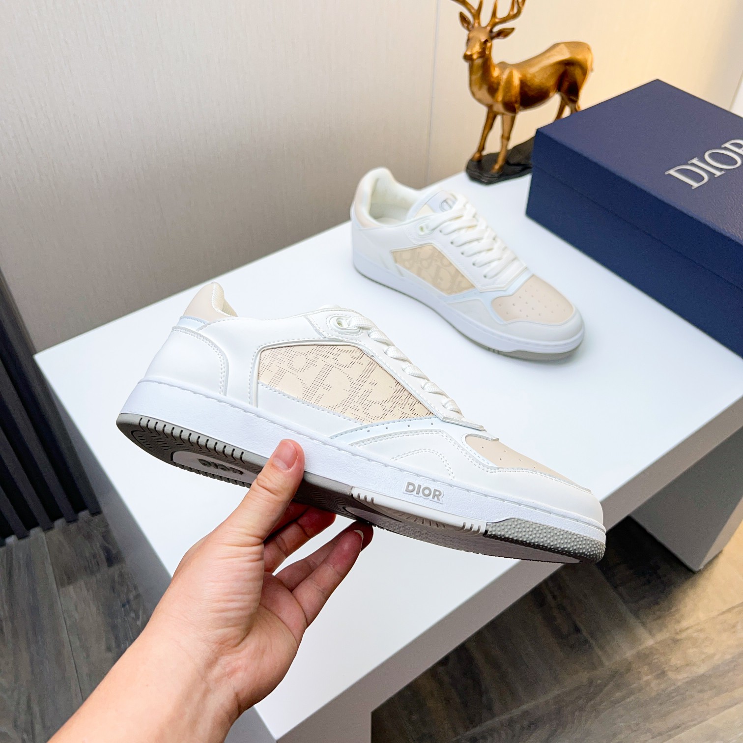 Dior shoe