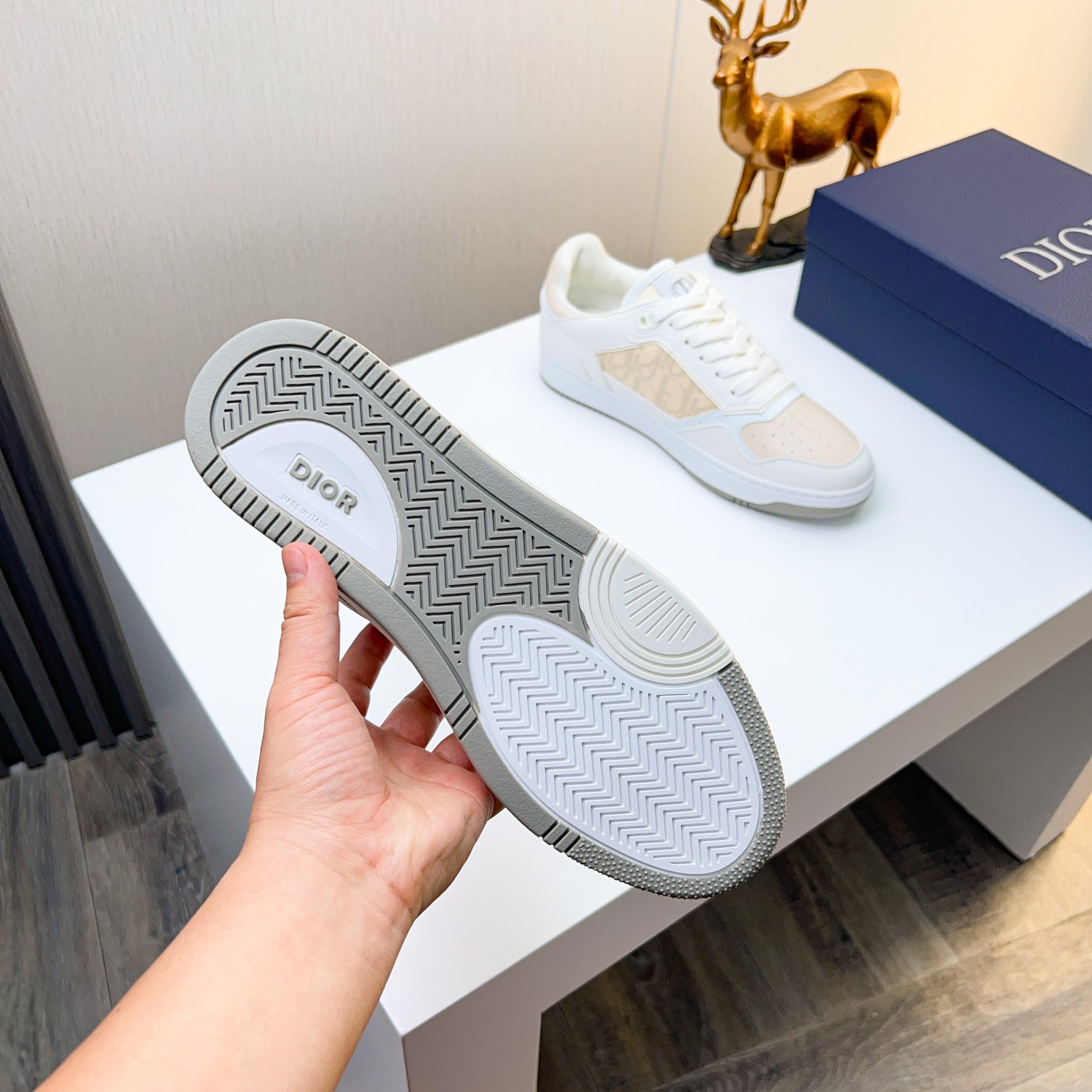Dior shoe