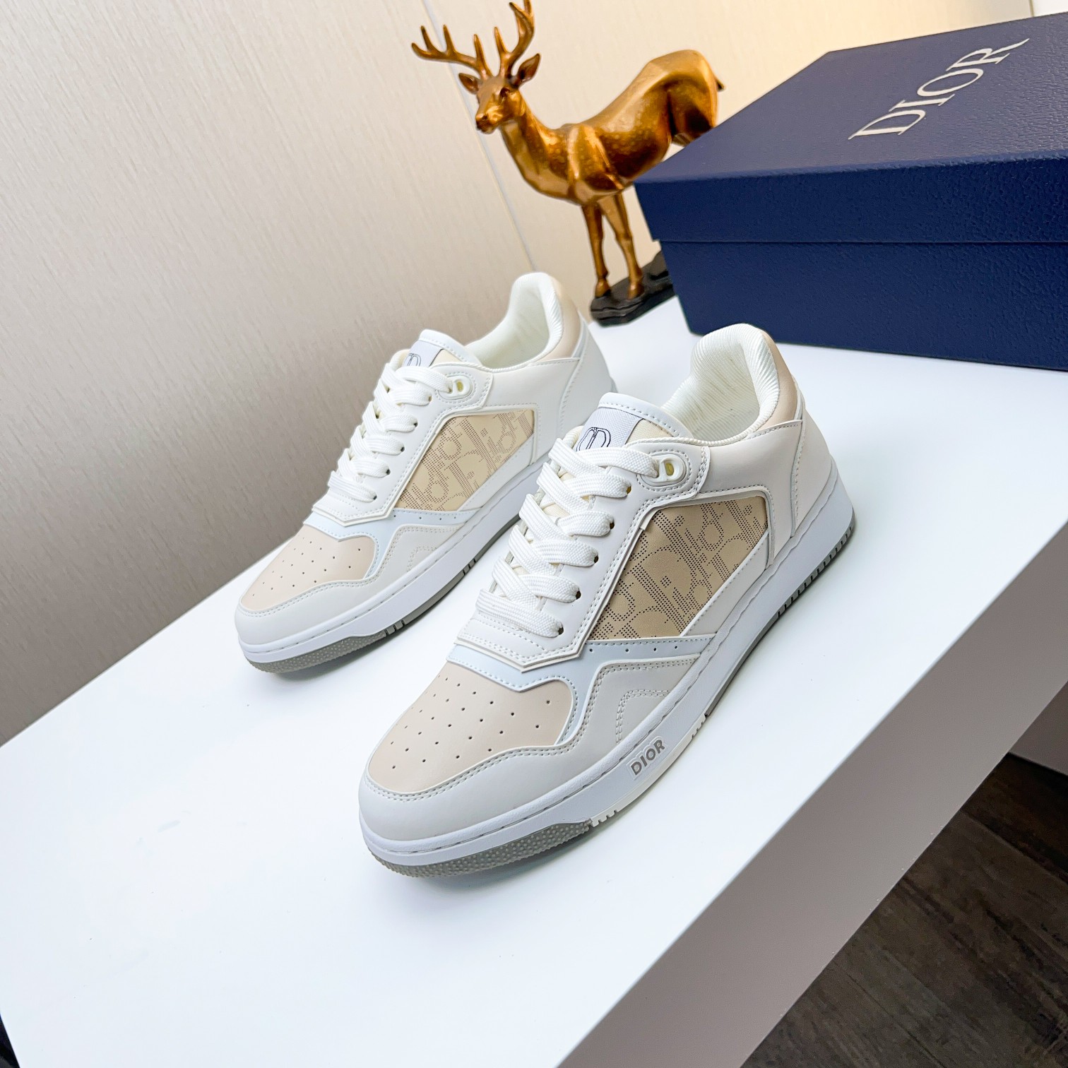 Dior shoe