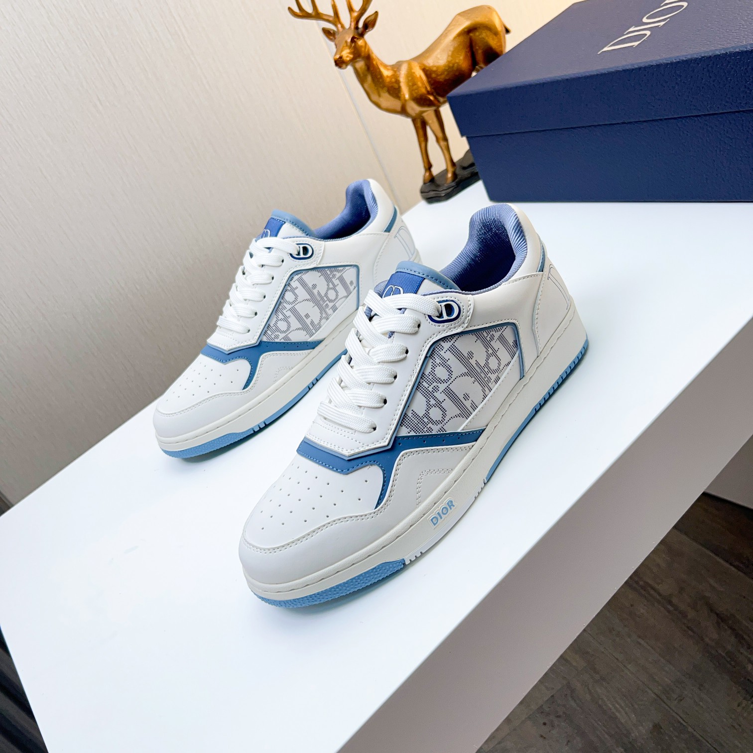 Dior shoe