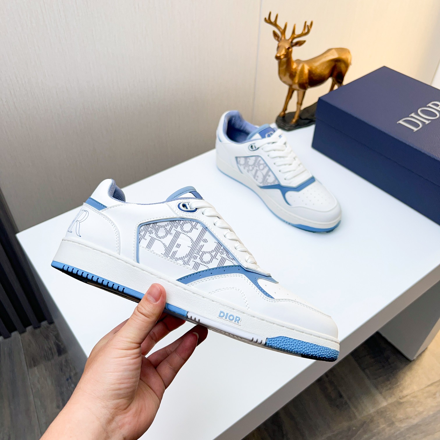 Dior shoe