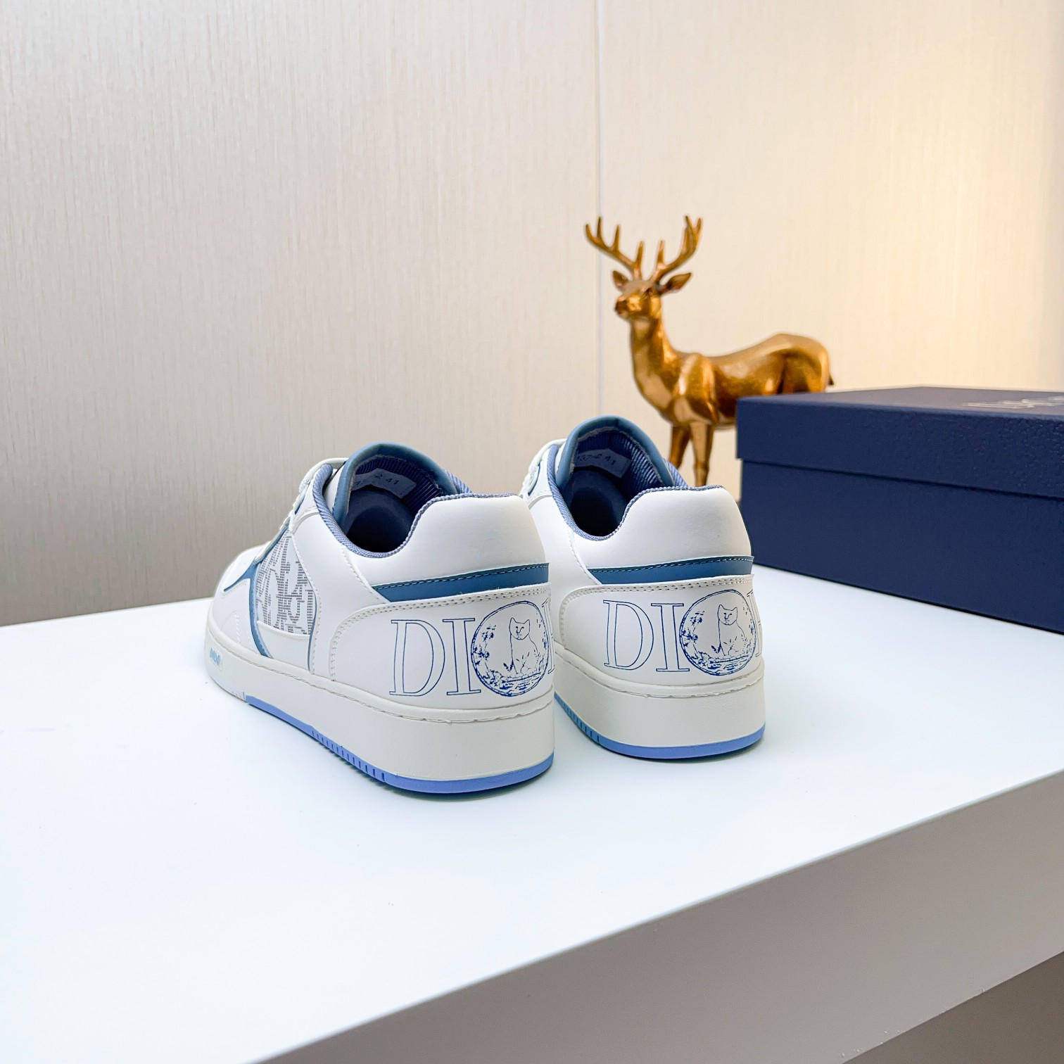 Dior shoe
