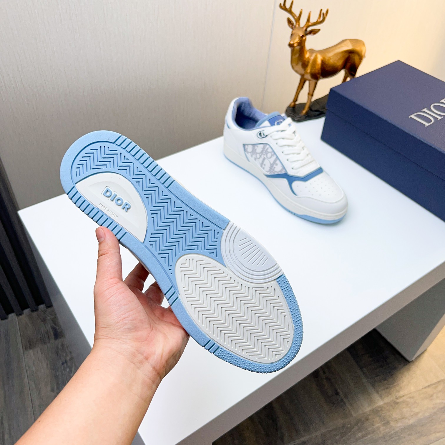 Dior shoe