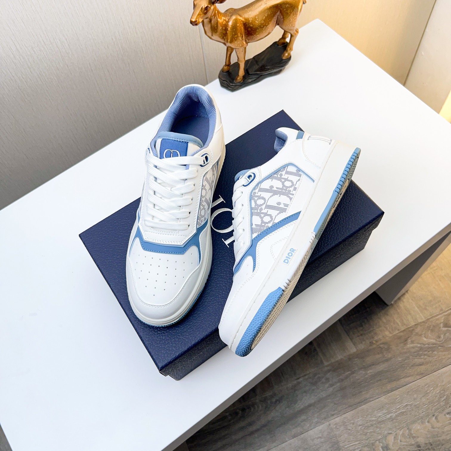 Dior shoe