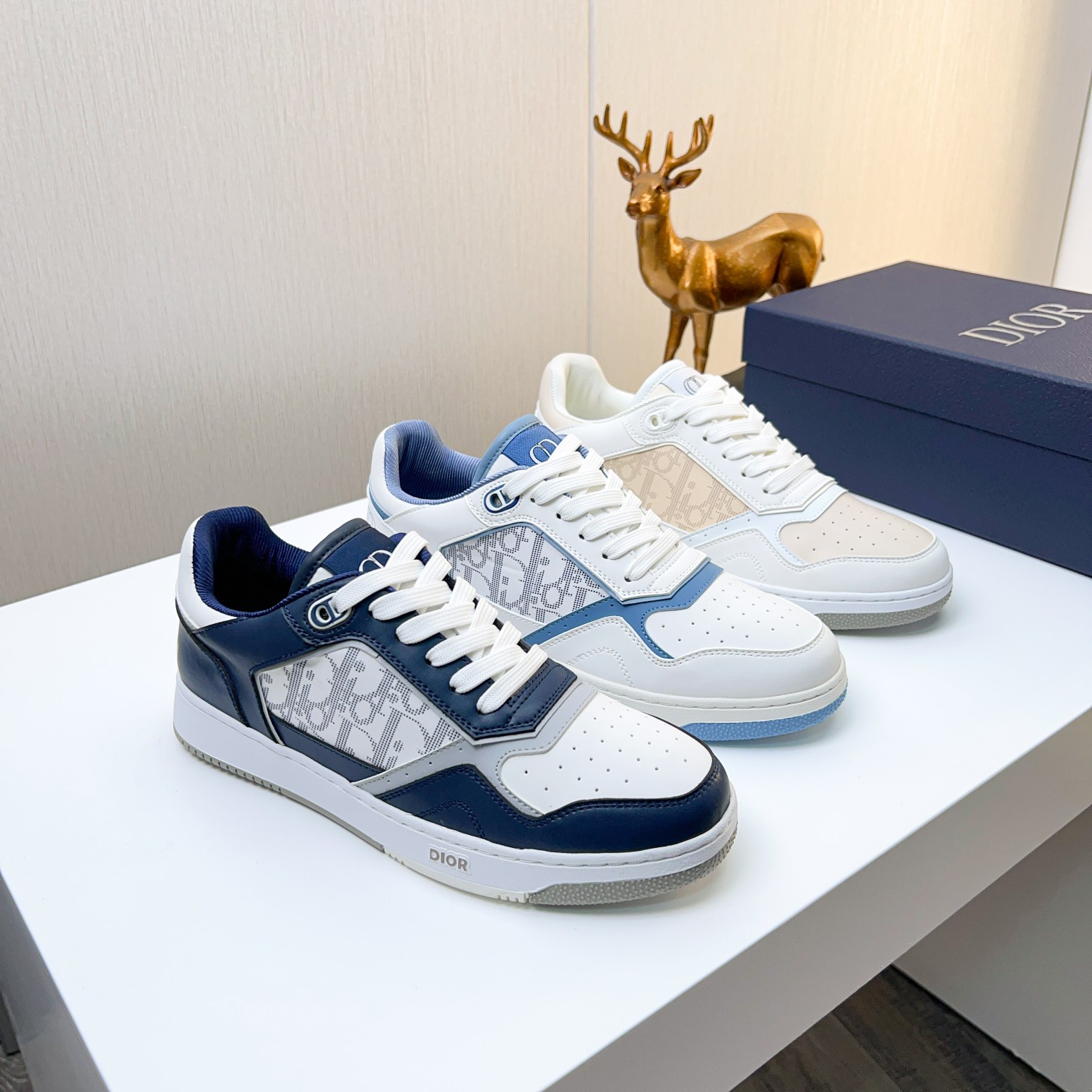 Dior shoe