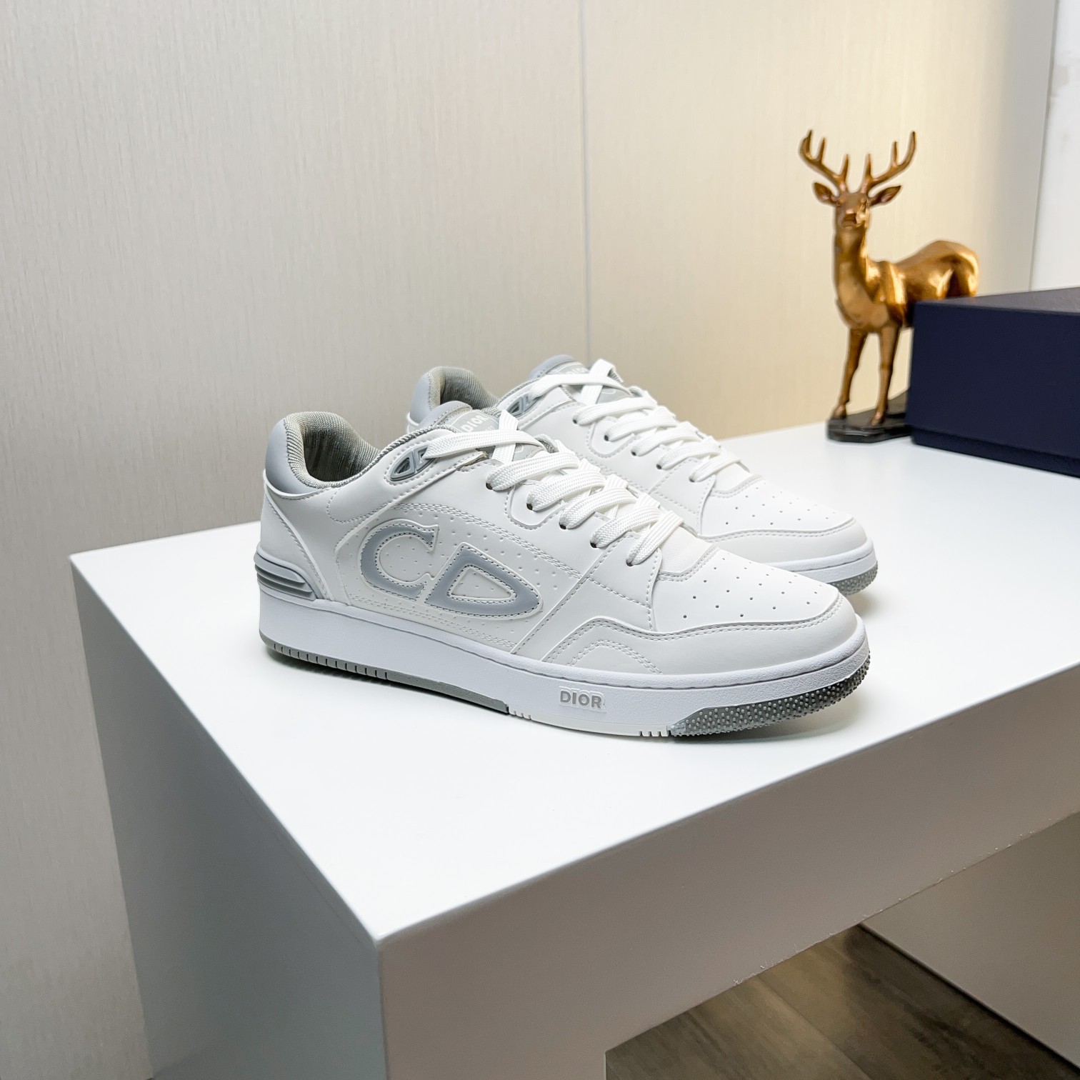 Dior shoe