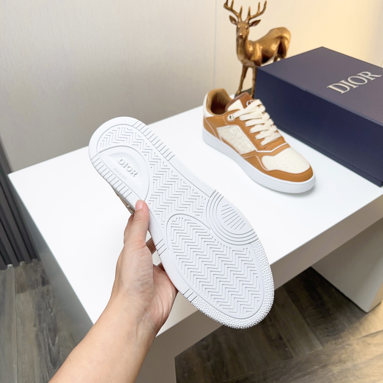 Dior shoe