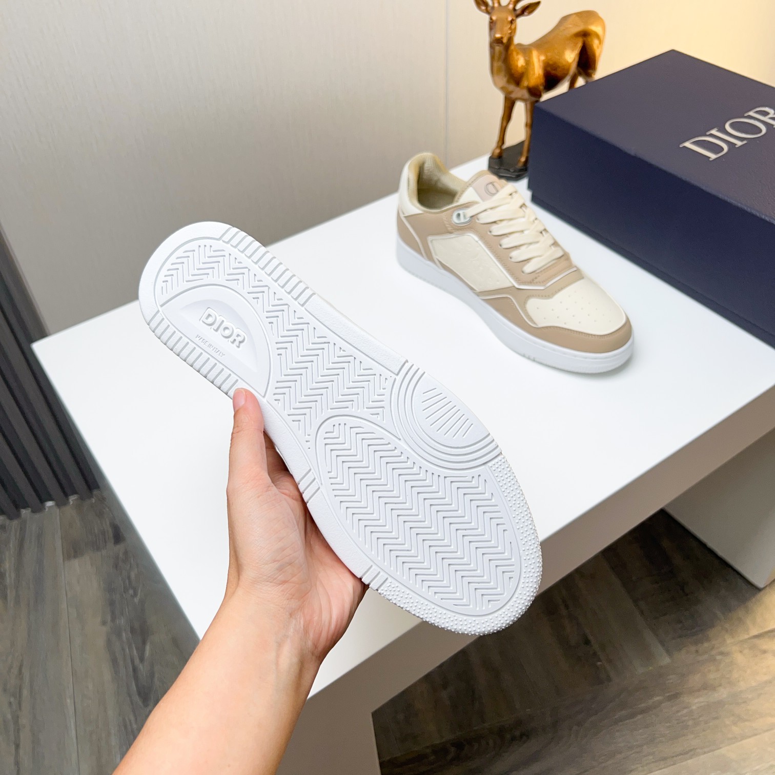Dior shoe