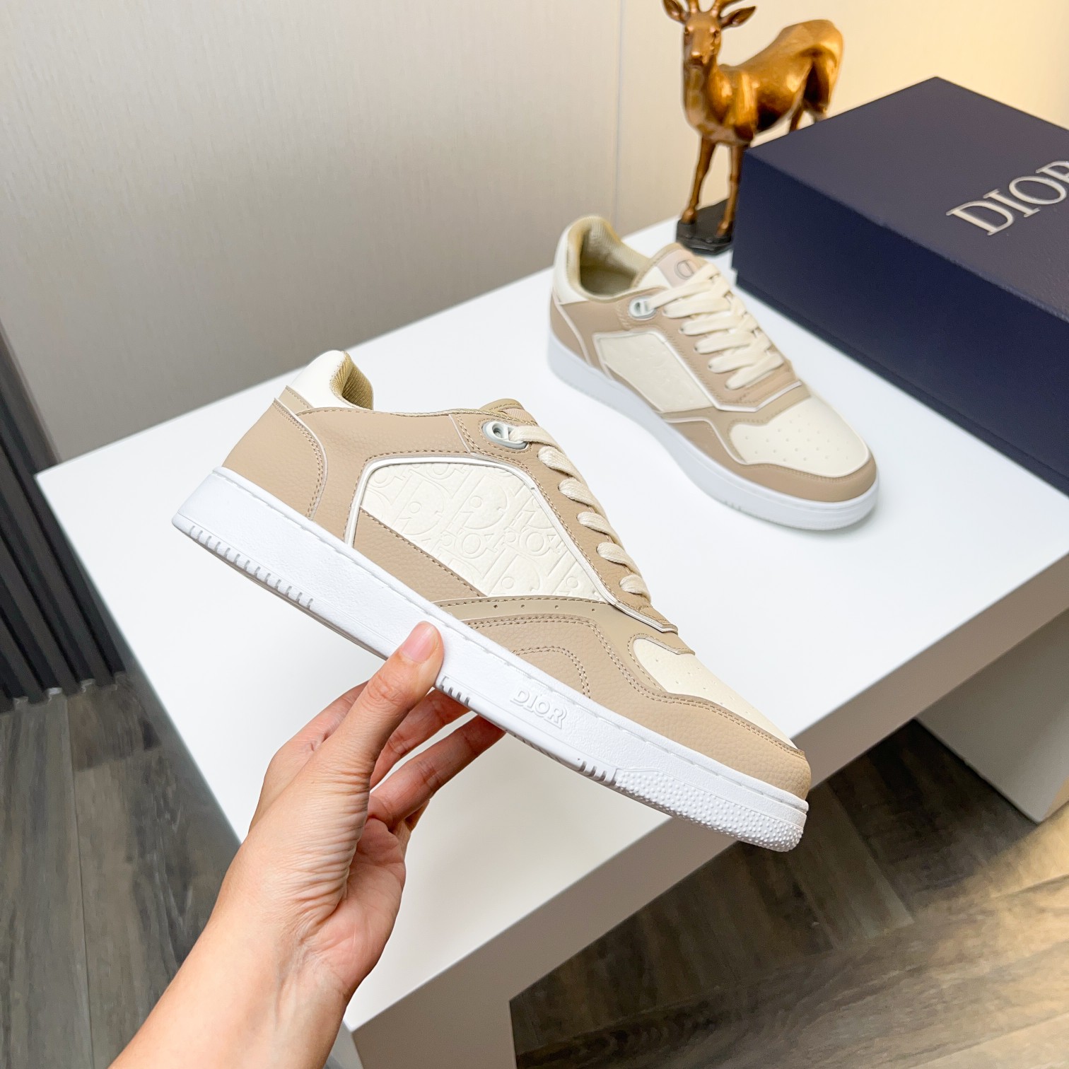 Dior shoe