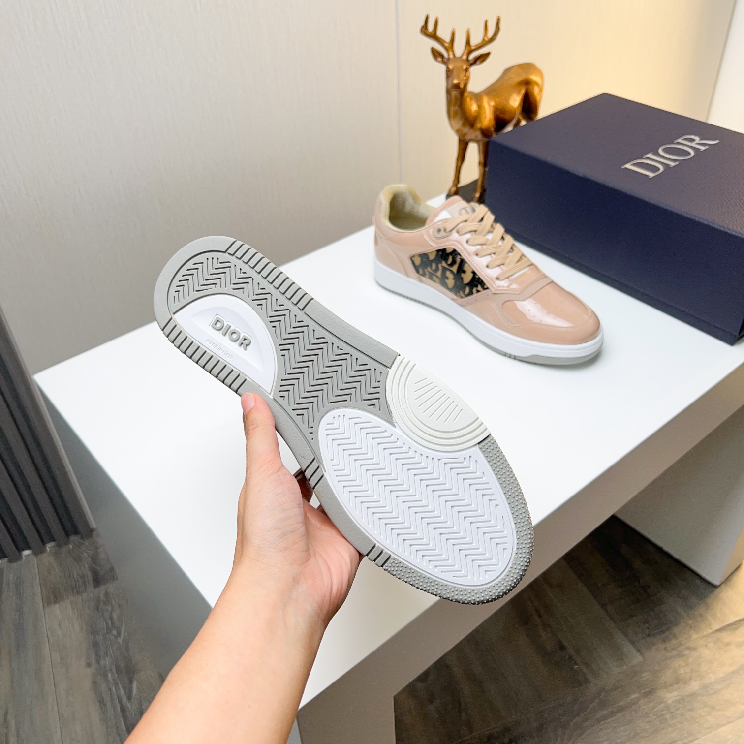 Dior shoe