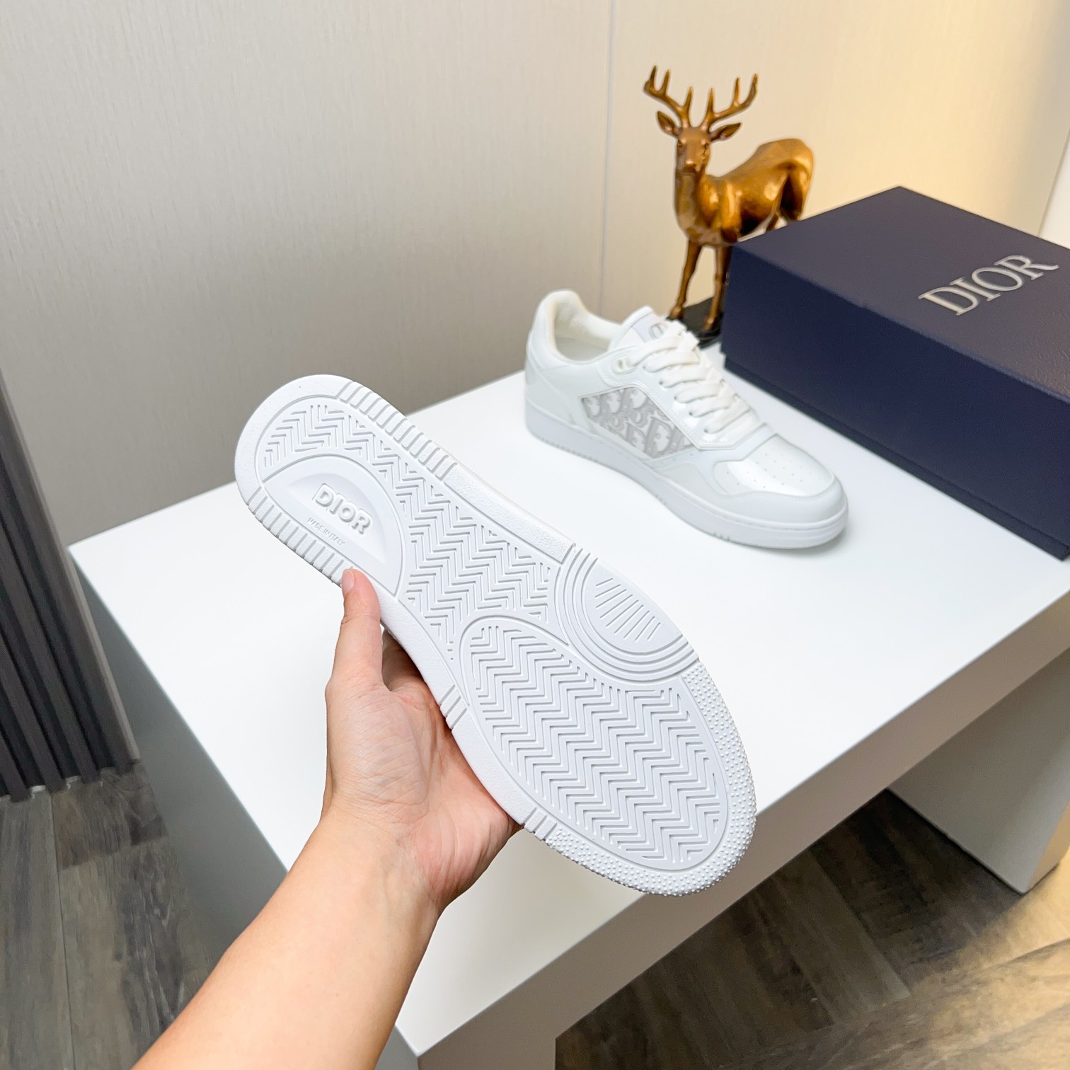 Dior shoe