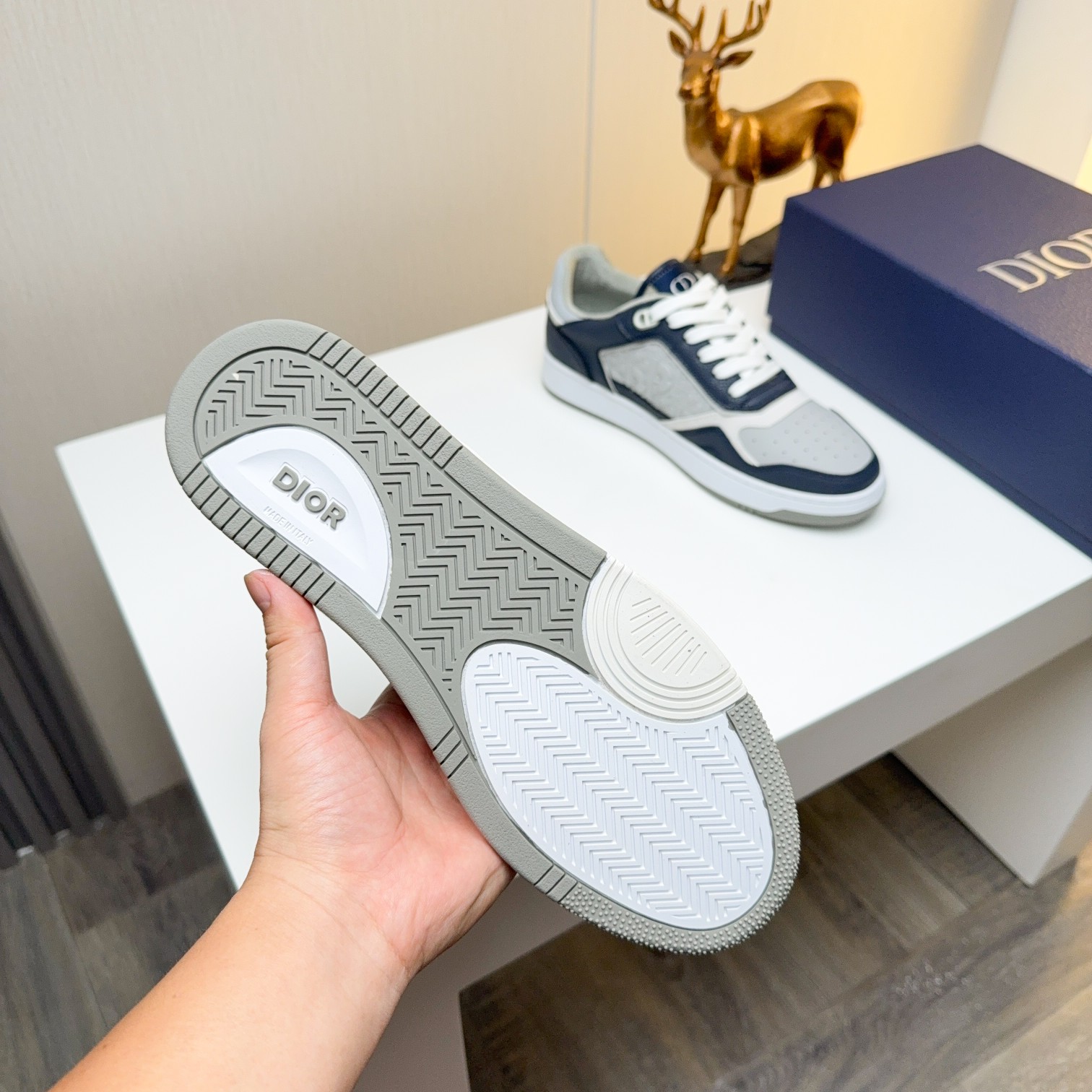 Dior shoe