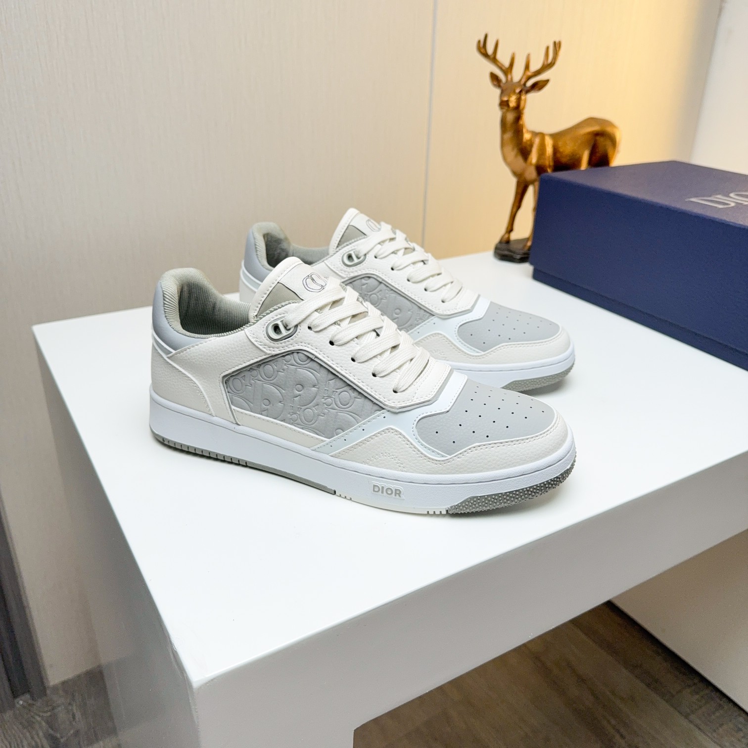 Dior shoe