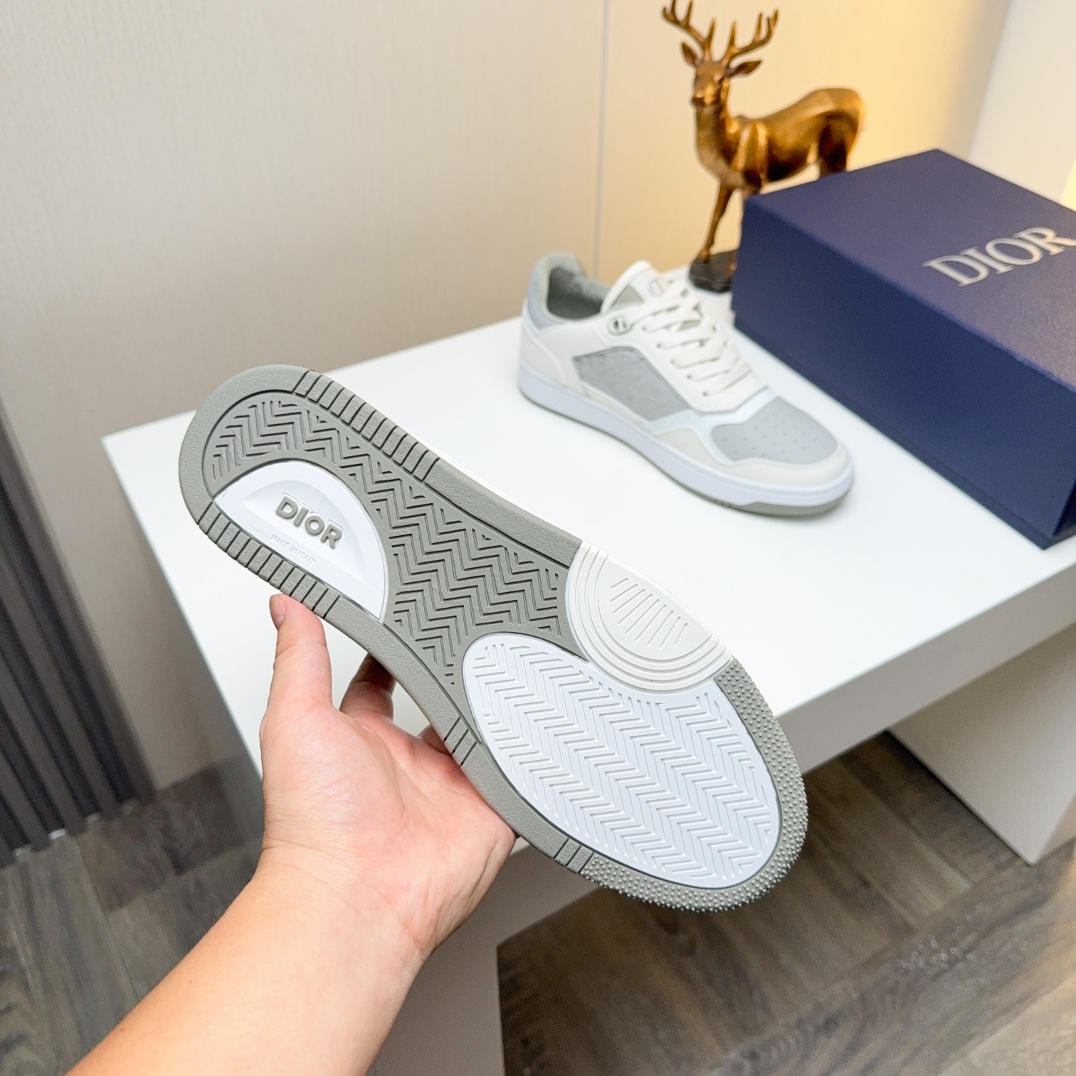 Dior shoe