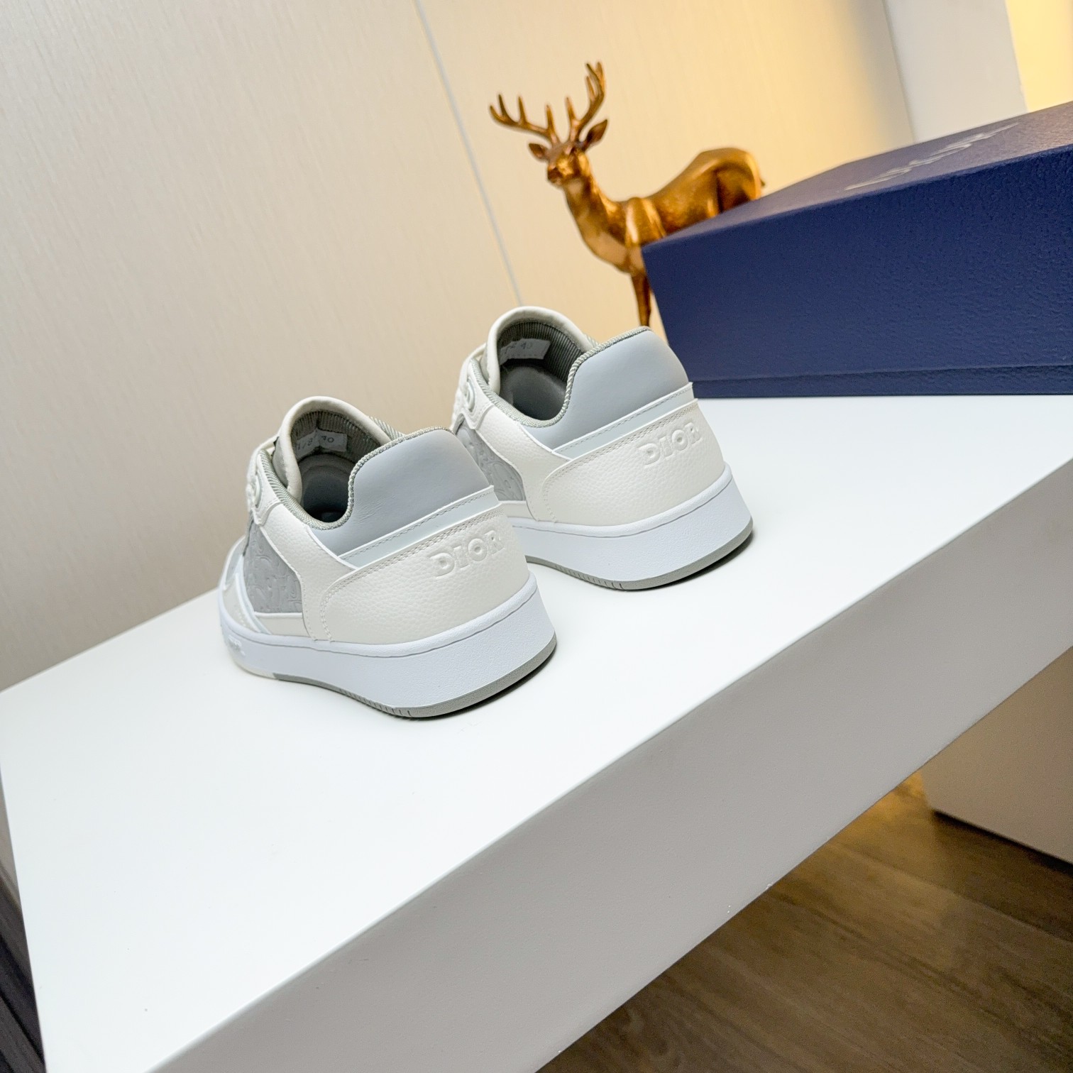 Dior shoe