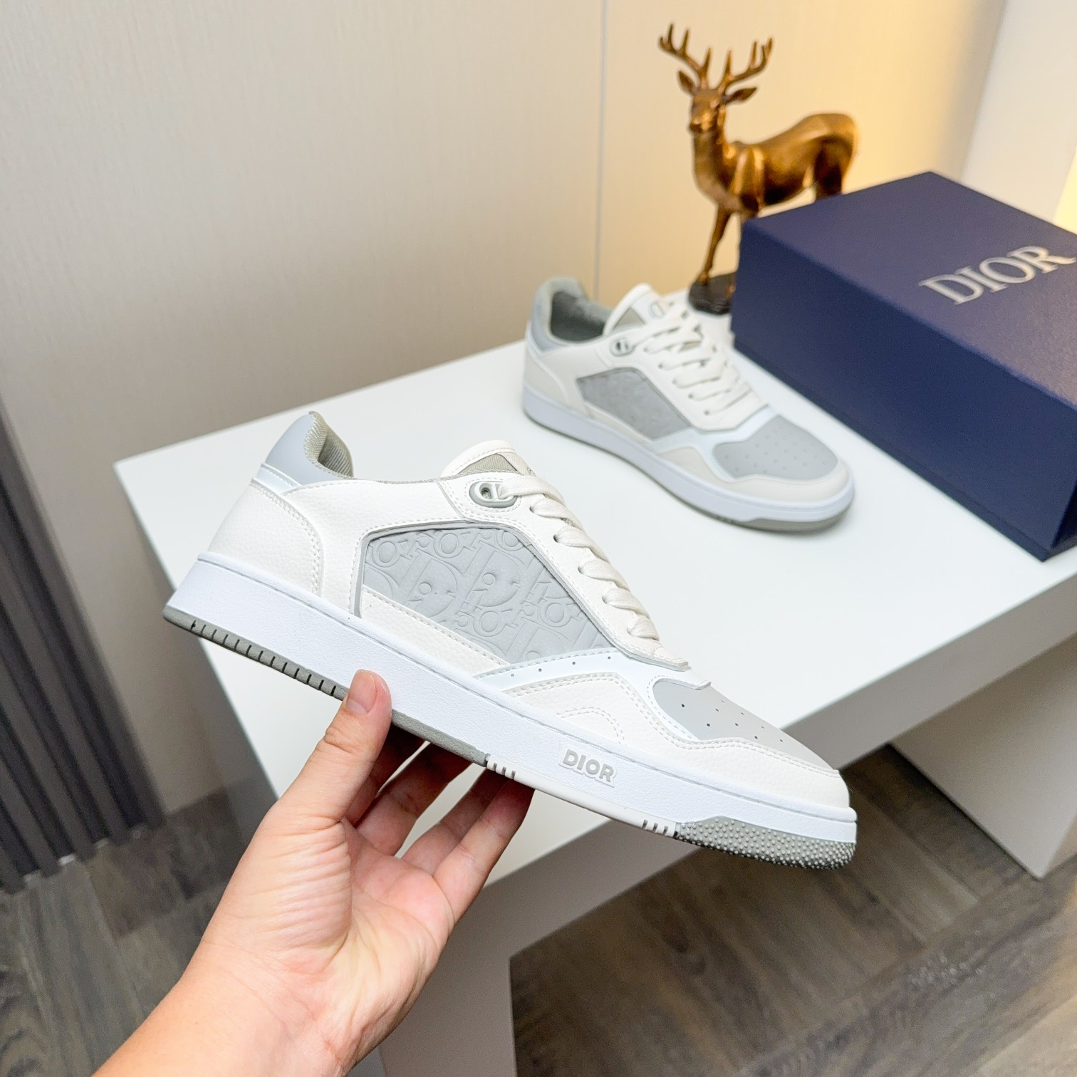Dior shoe