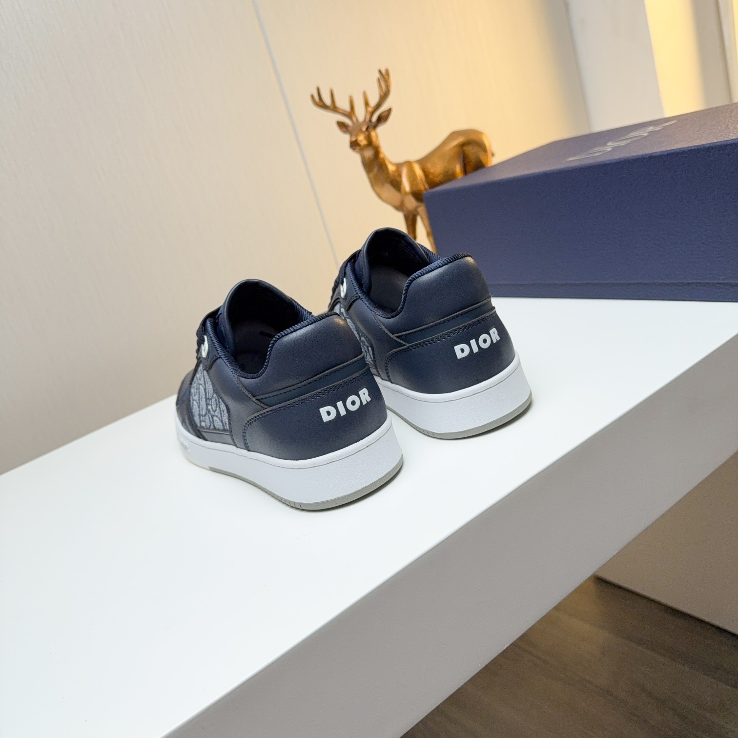 Dior shoe