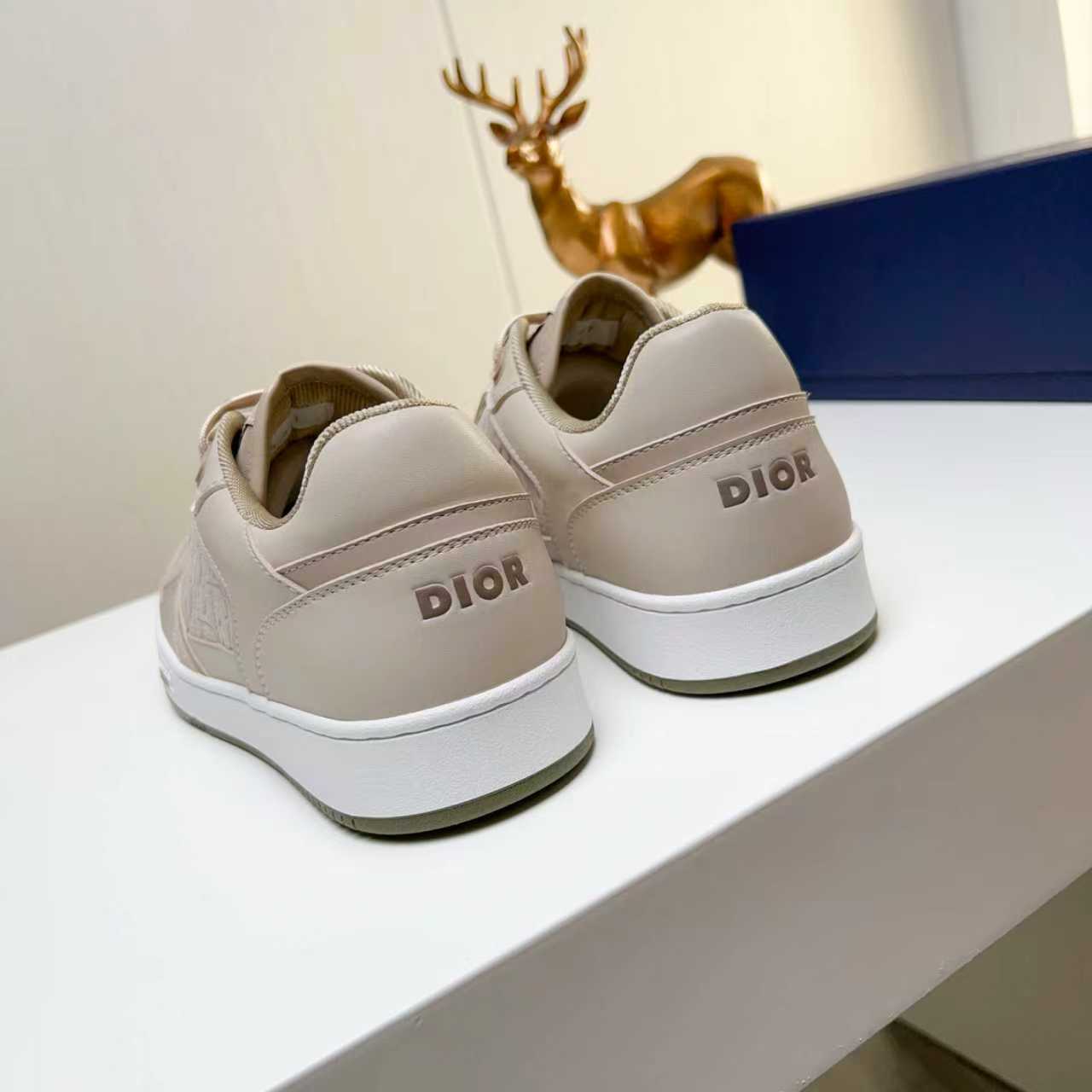 Dior shoe