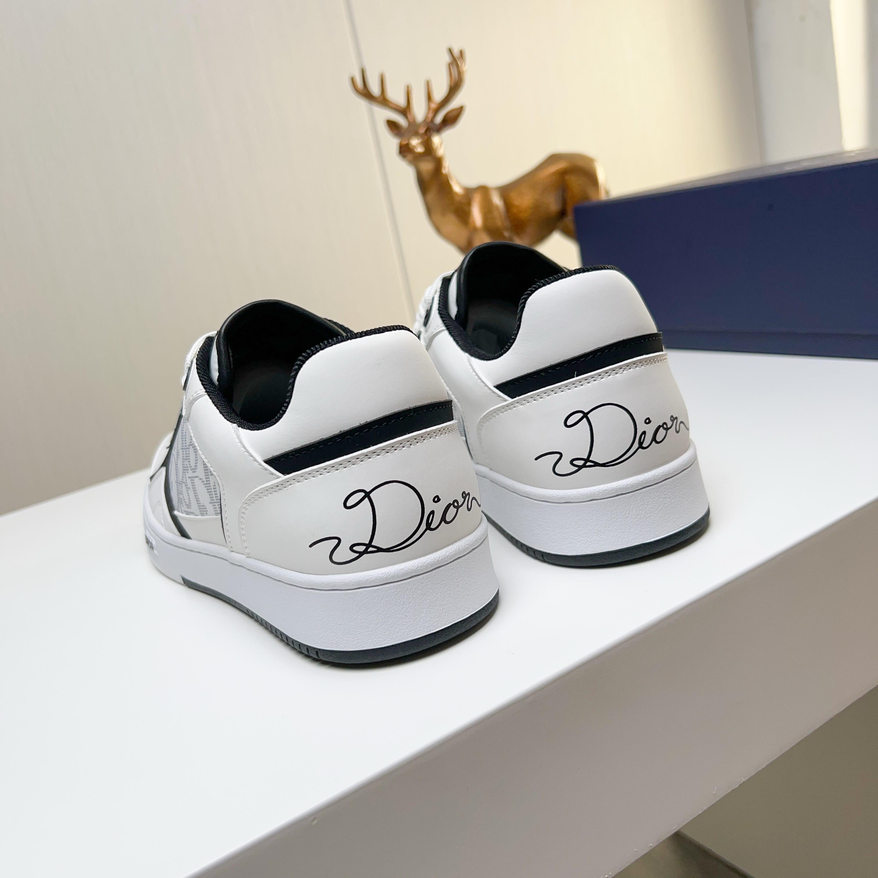 Dior shoe