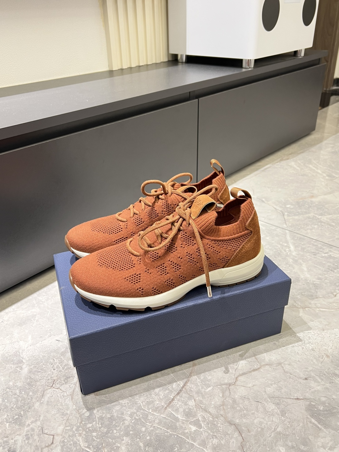 Dior shoe
