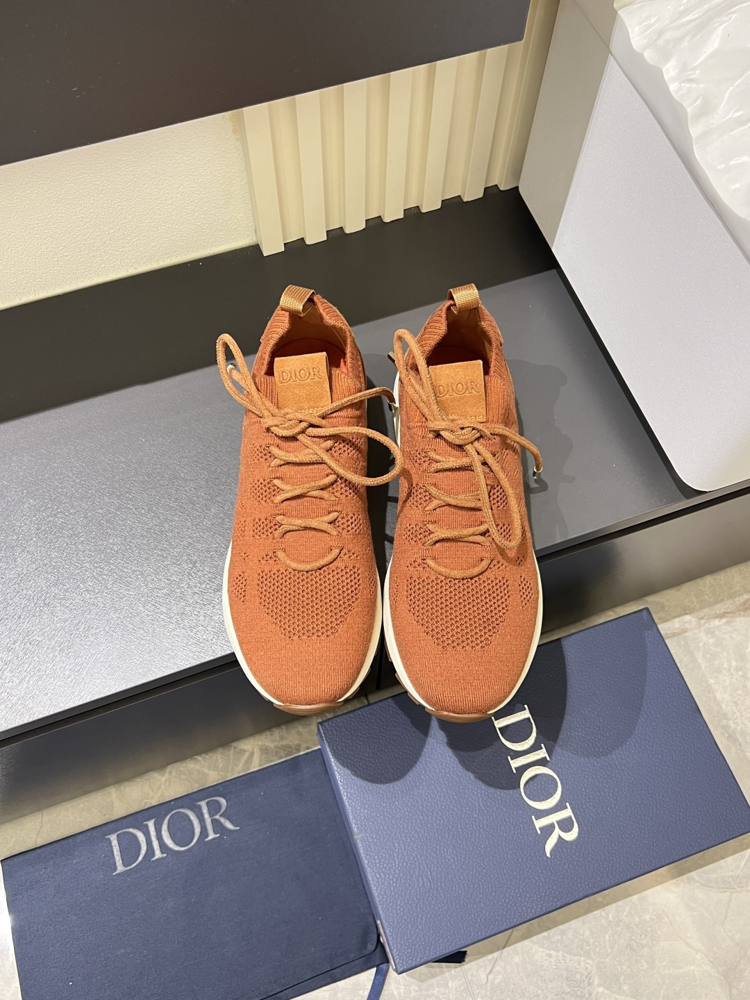 Dior shoe