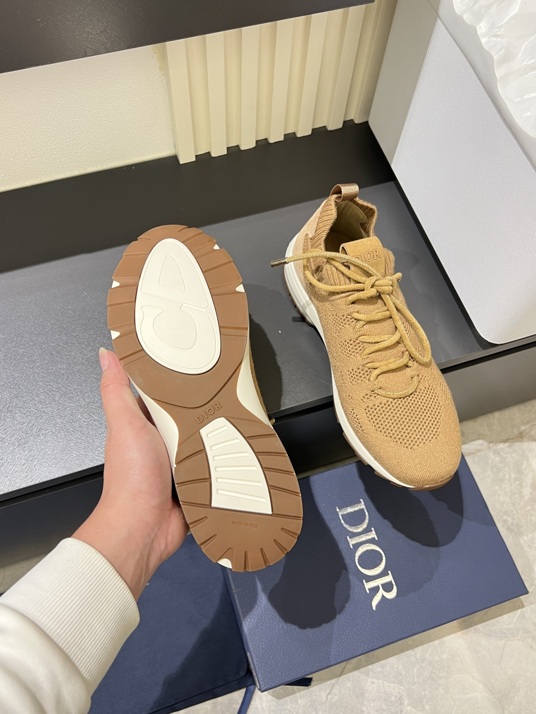 Dior shoe