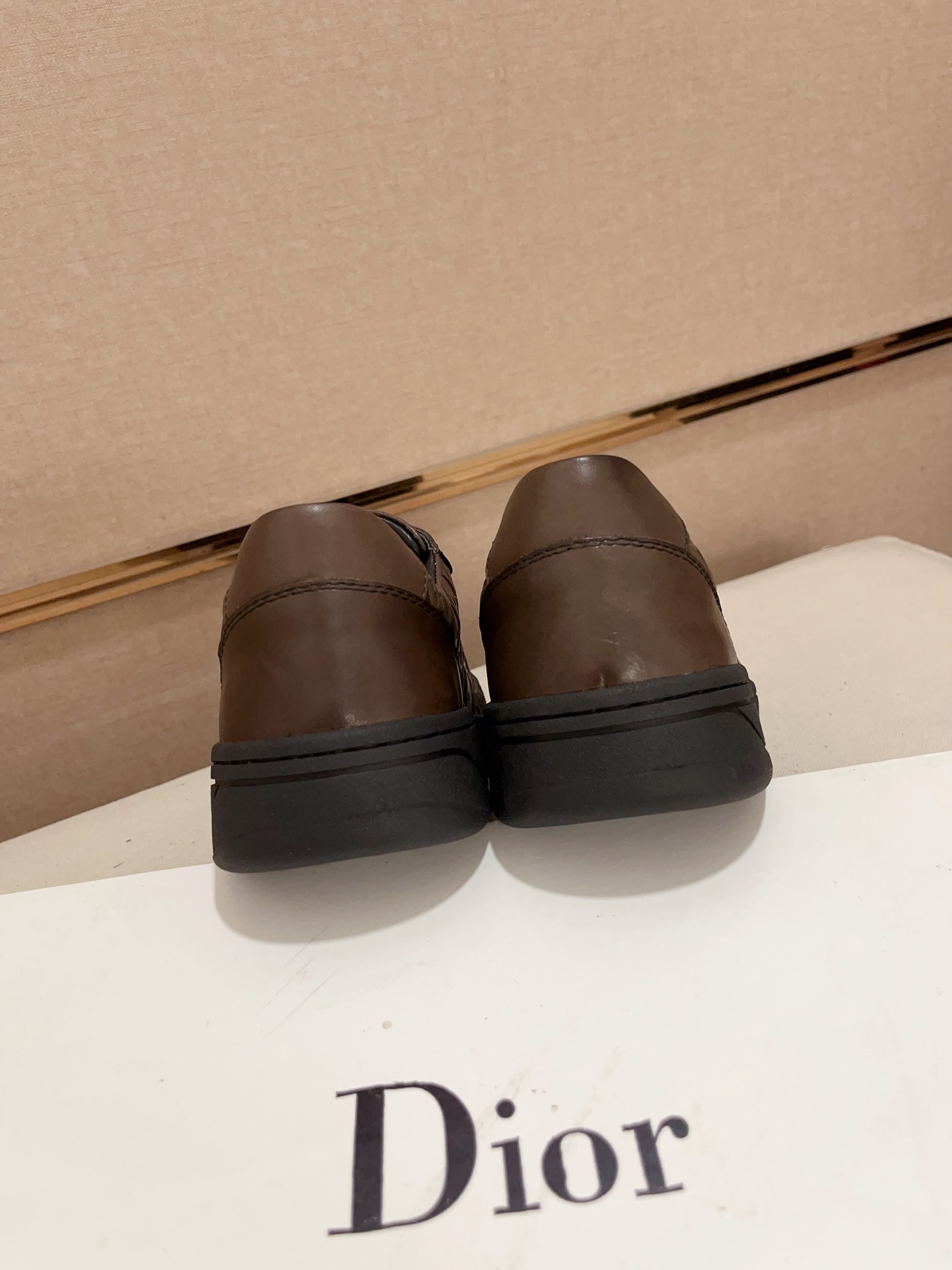 Dior shoe