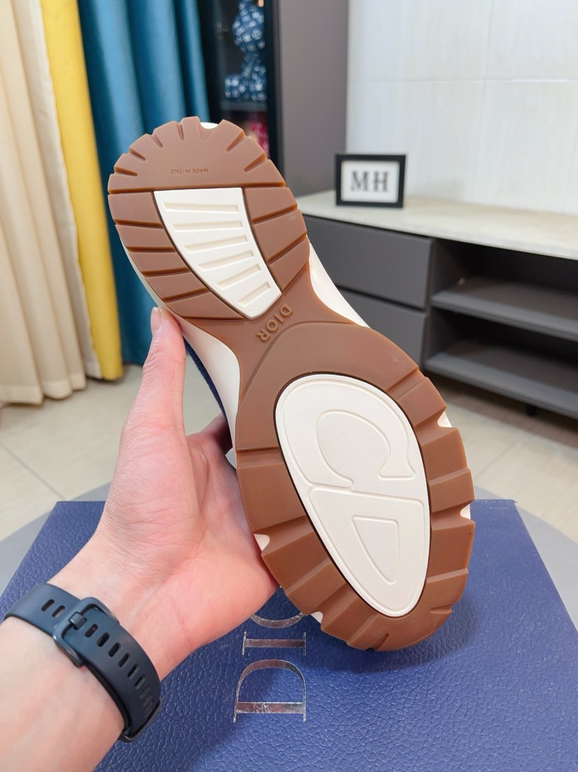 Dior shoe