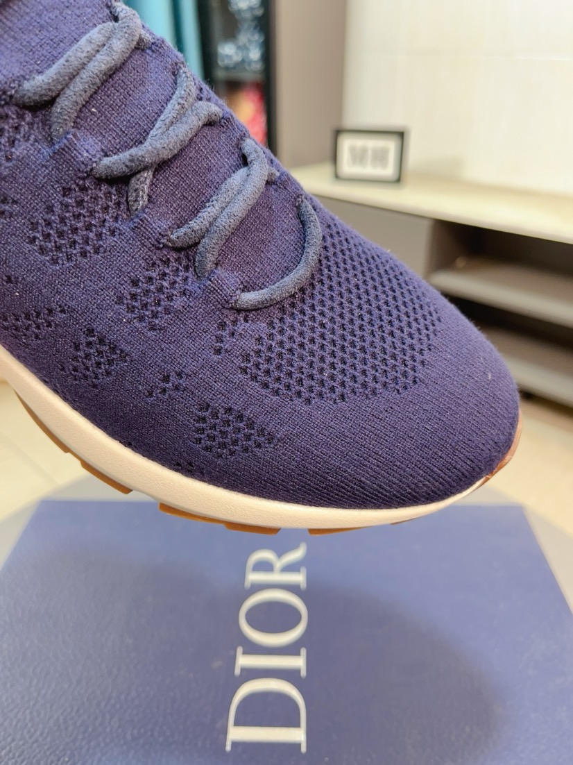 Dior shoe