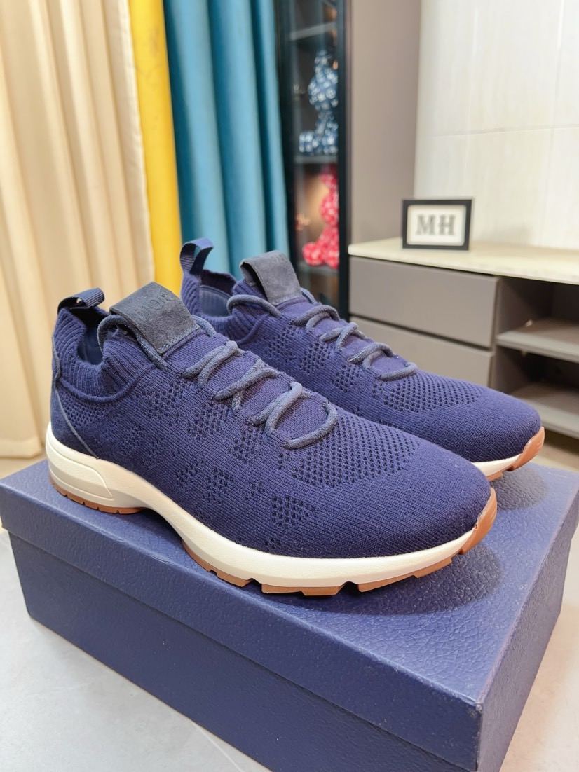 Dior shoe