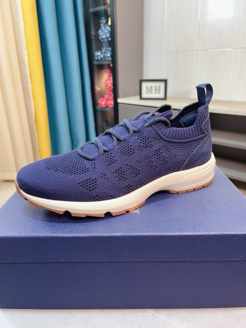Dior shoe