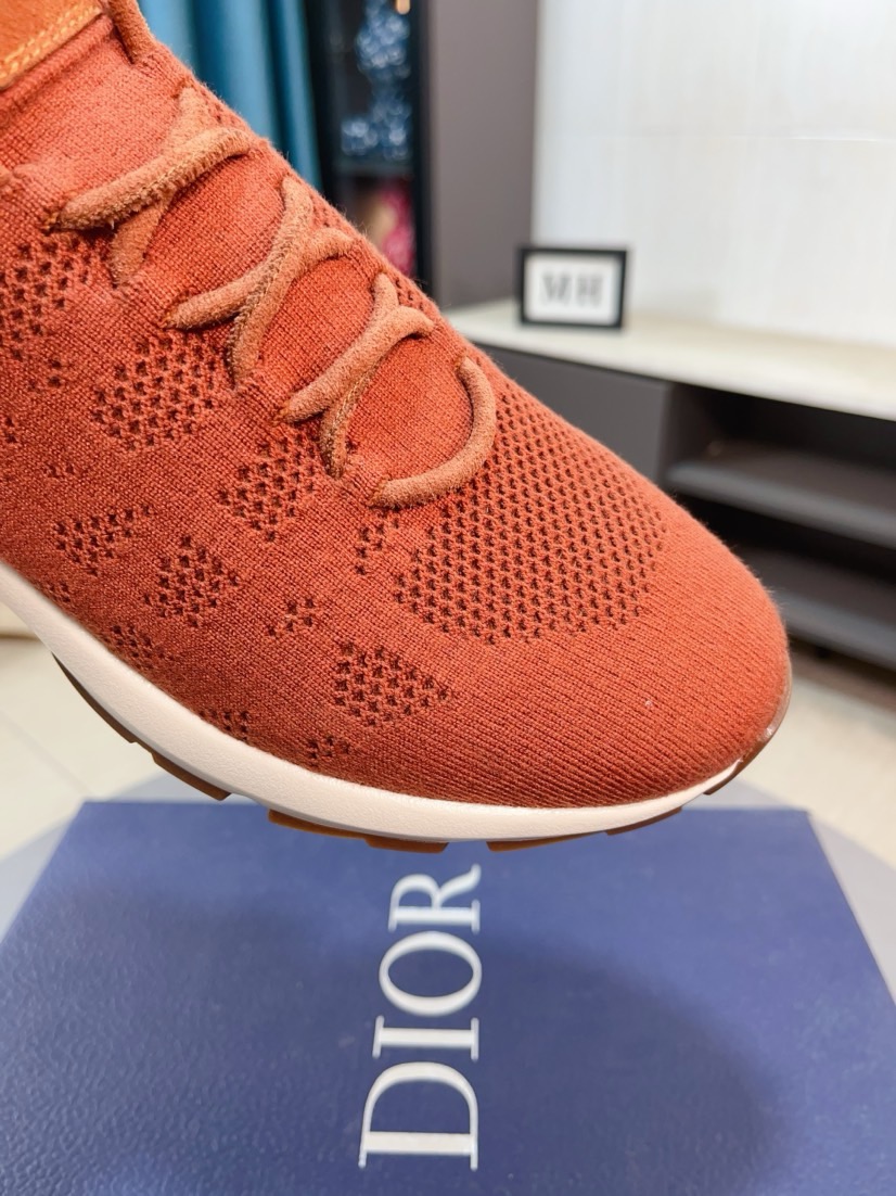 Dior shoe