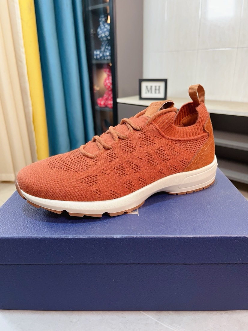 Dior shoe