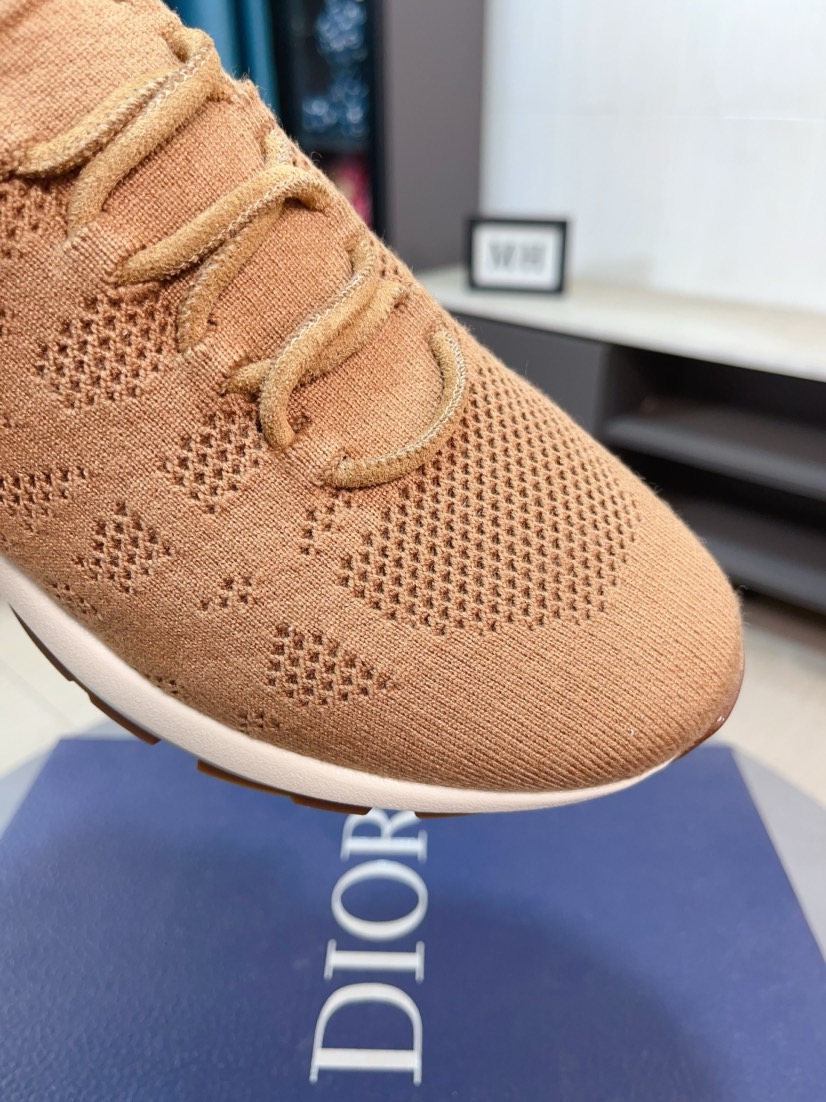 Dior shoe
