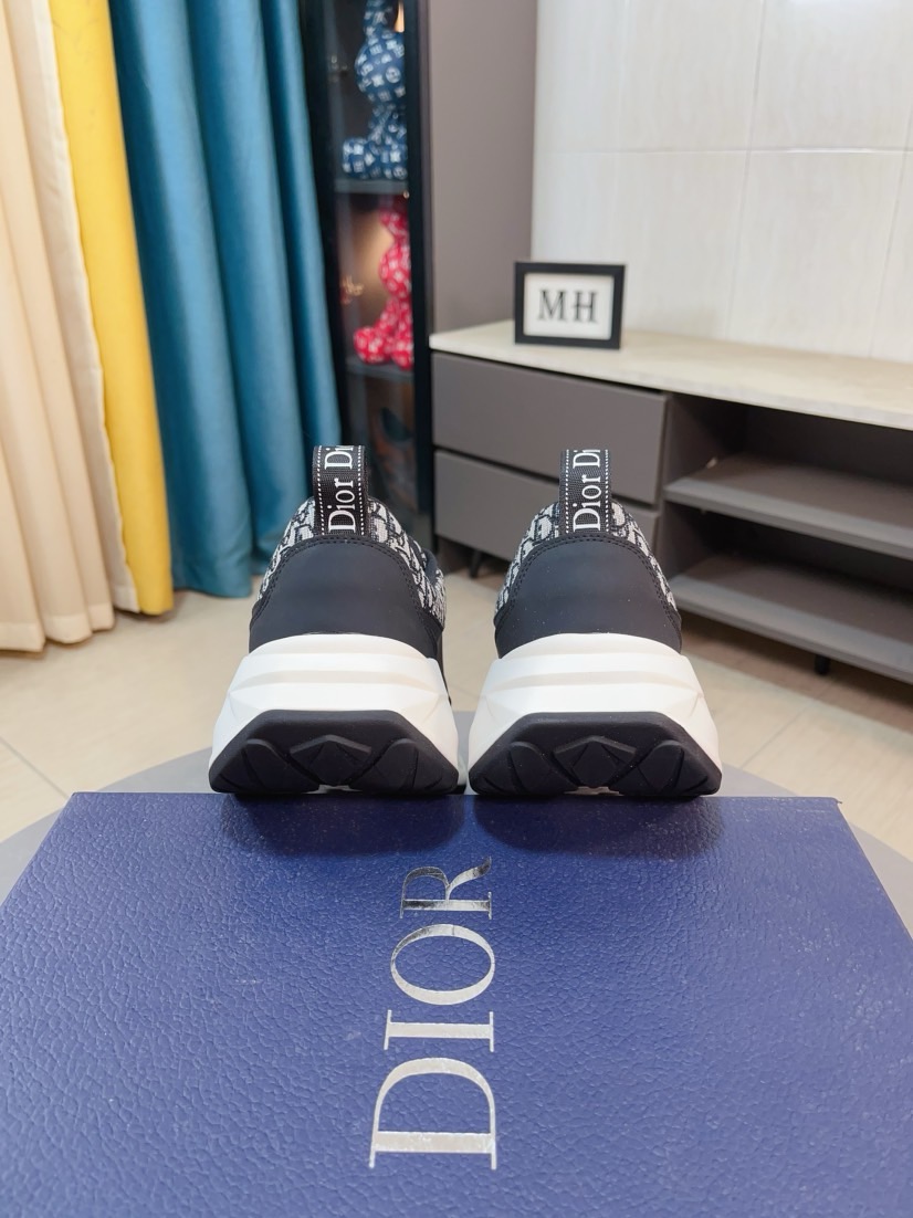 Dior shoe