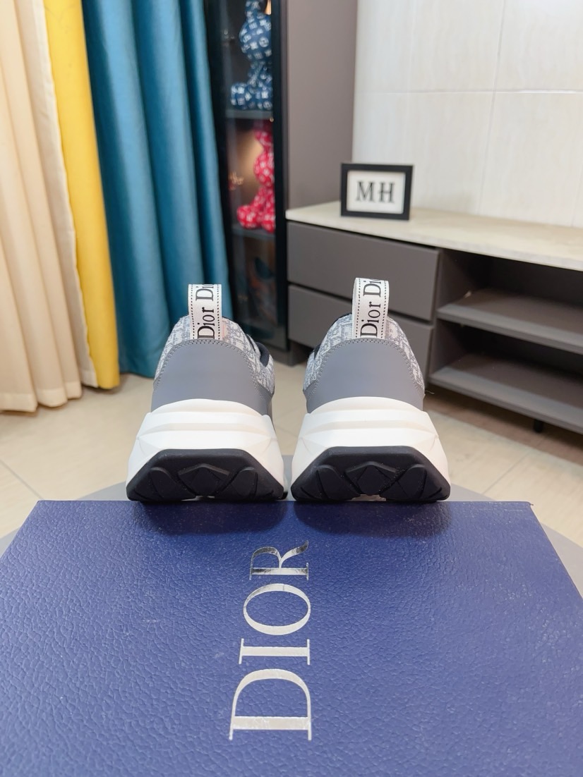 Dior shoe