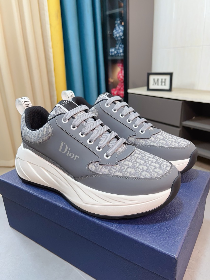 Dior shoe