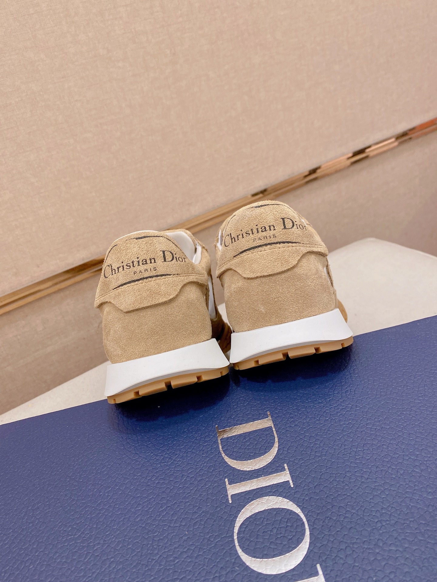 Dior shoe