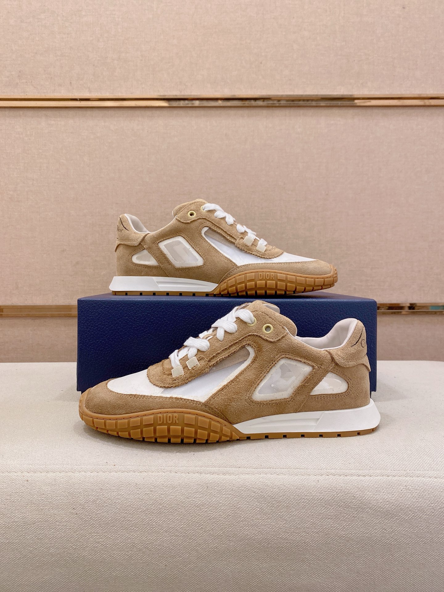 Dior shoe