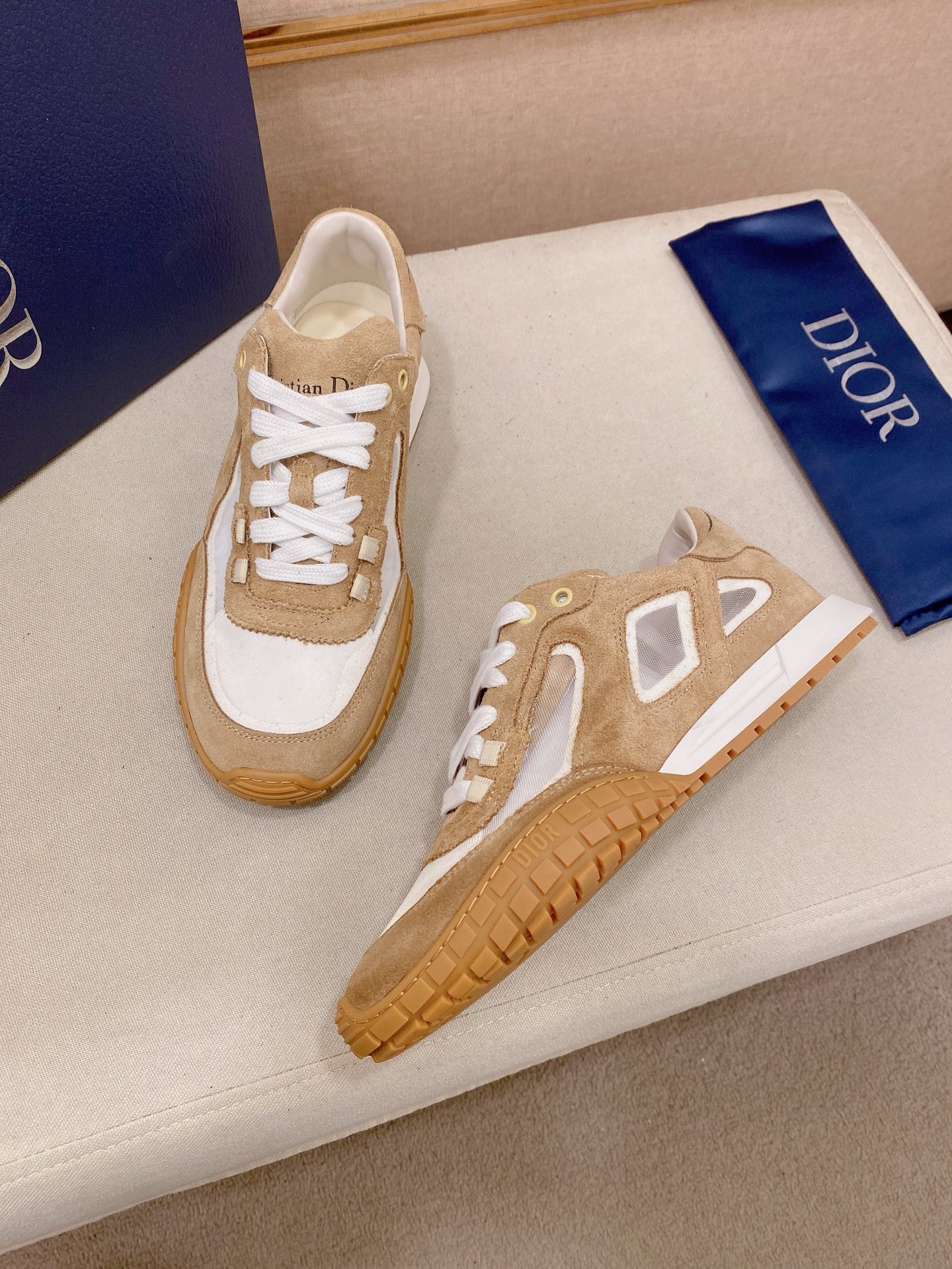 Dior shoe