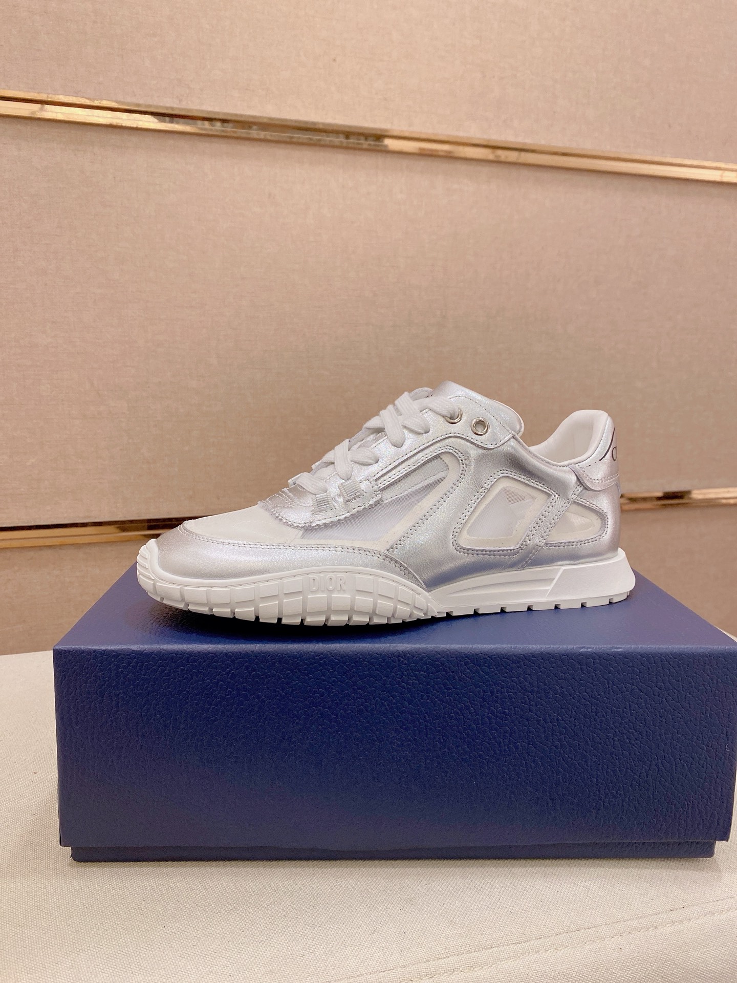 Dior shoe
