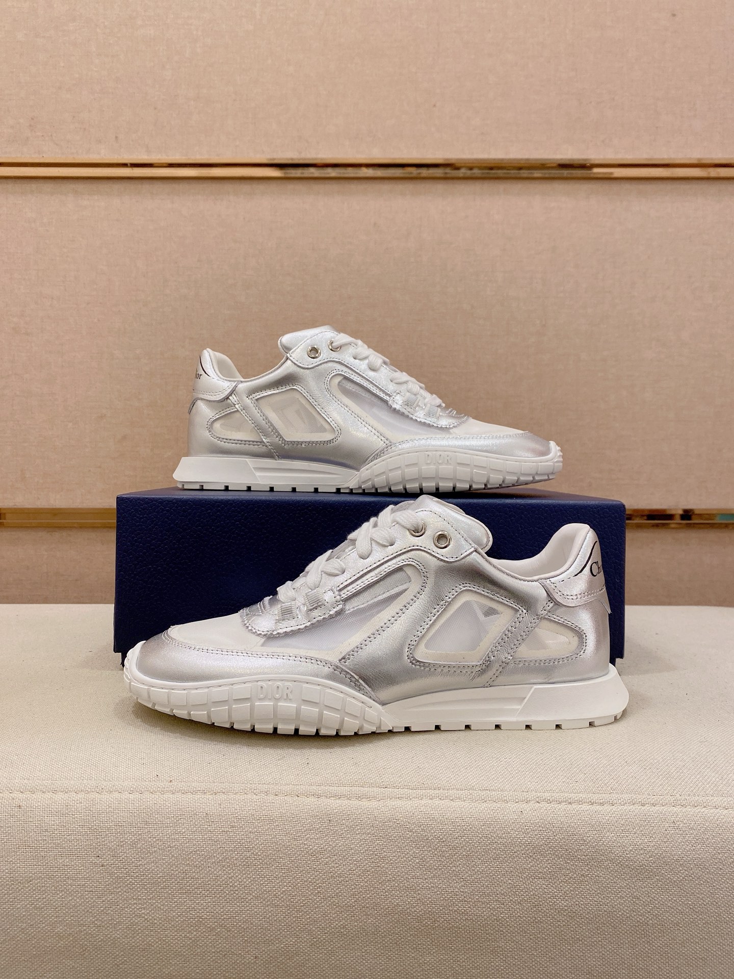 Dior shoe