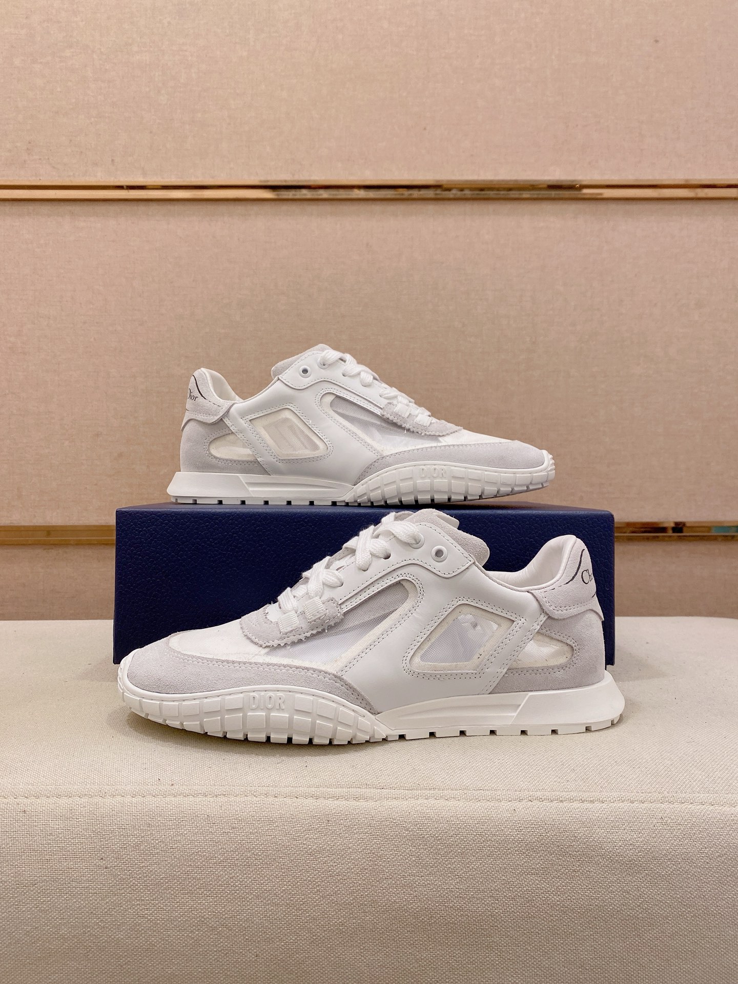 Dior shoe