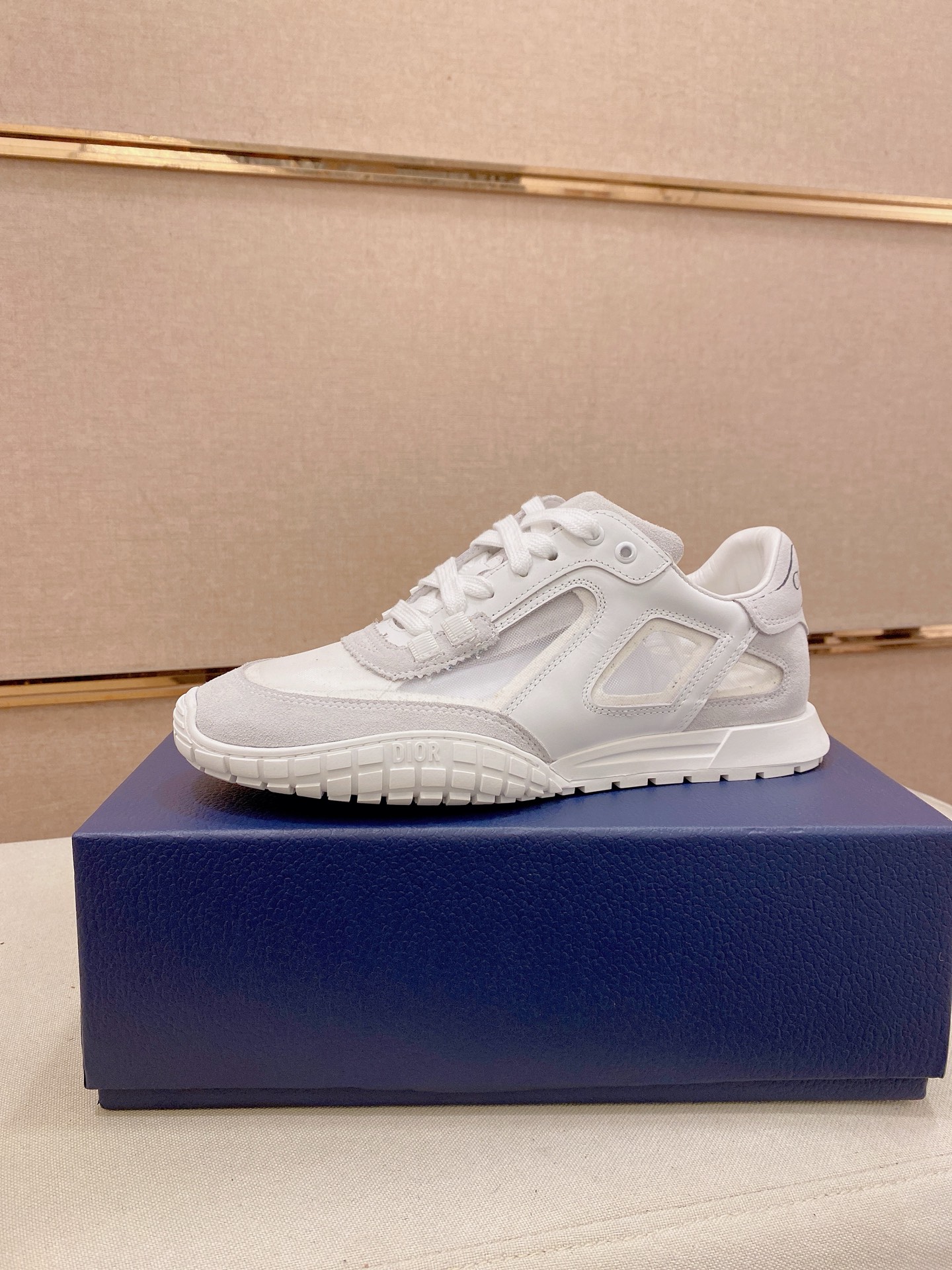 Dior shoe