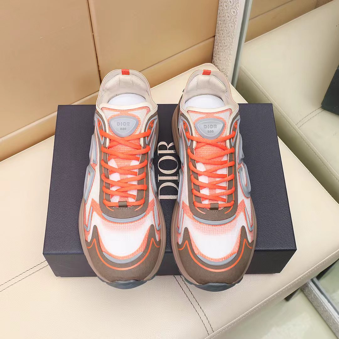Dior shoe
