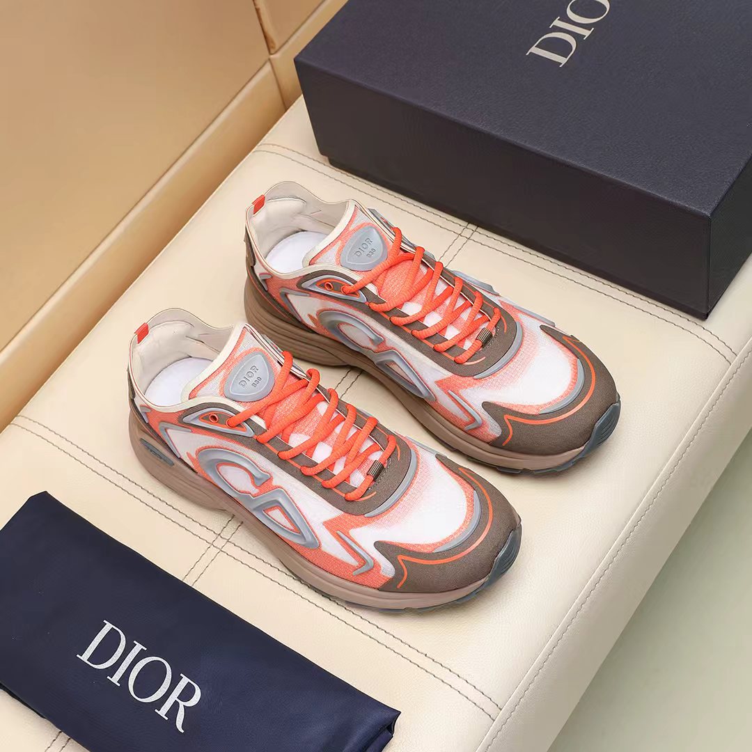 Dior shoe