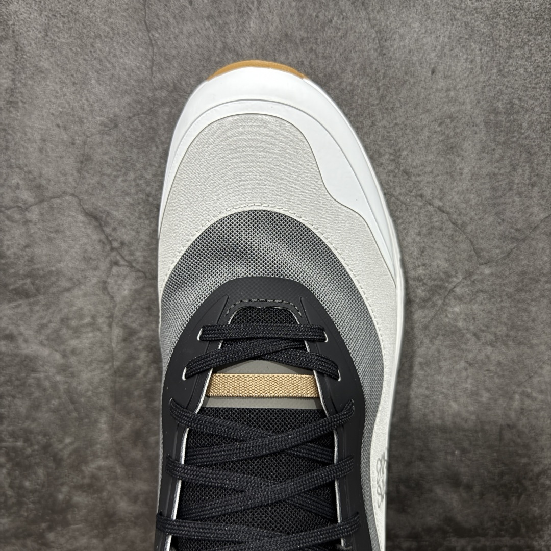Loewe shoe