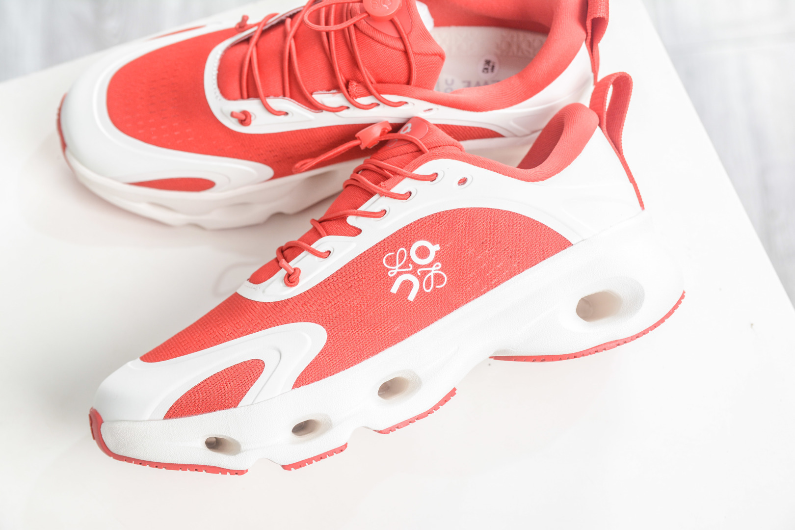 Loewe shoe