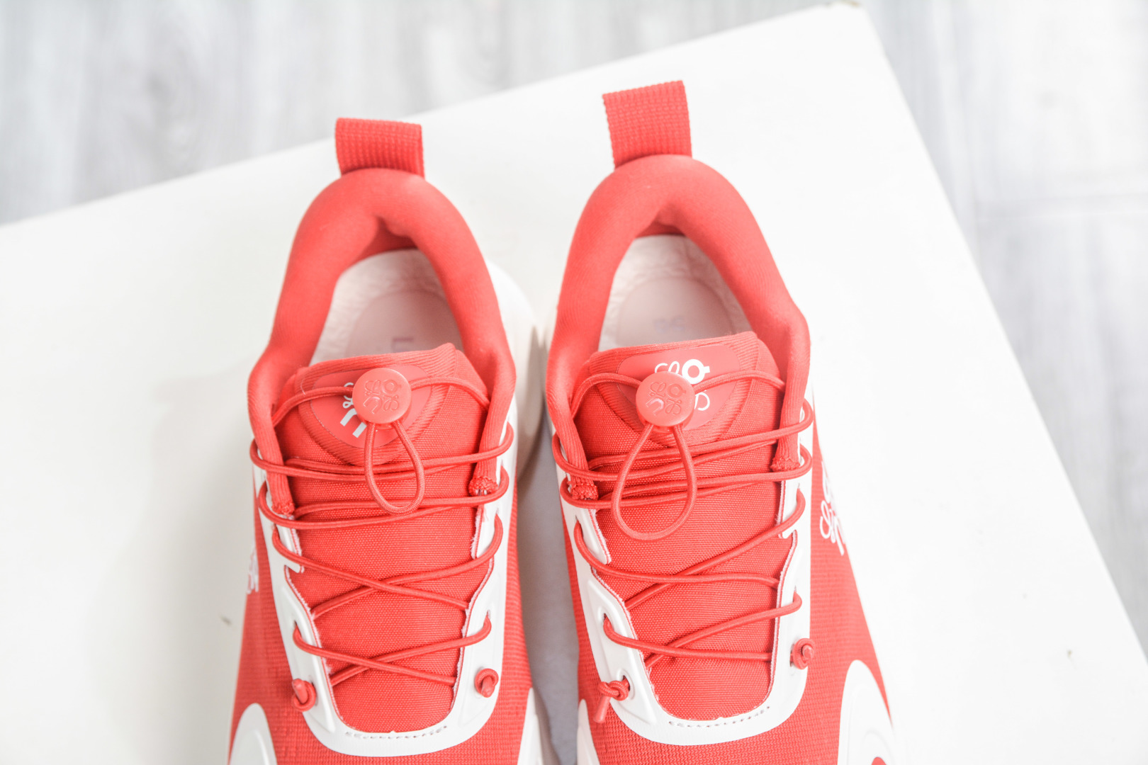 Loewe shoe